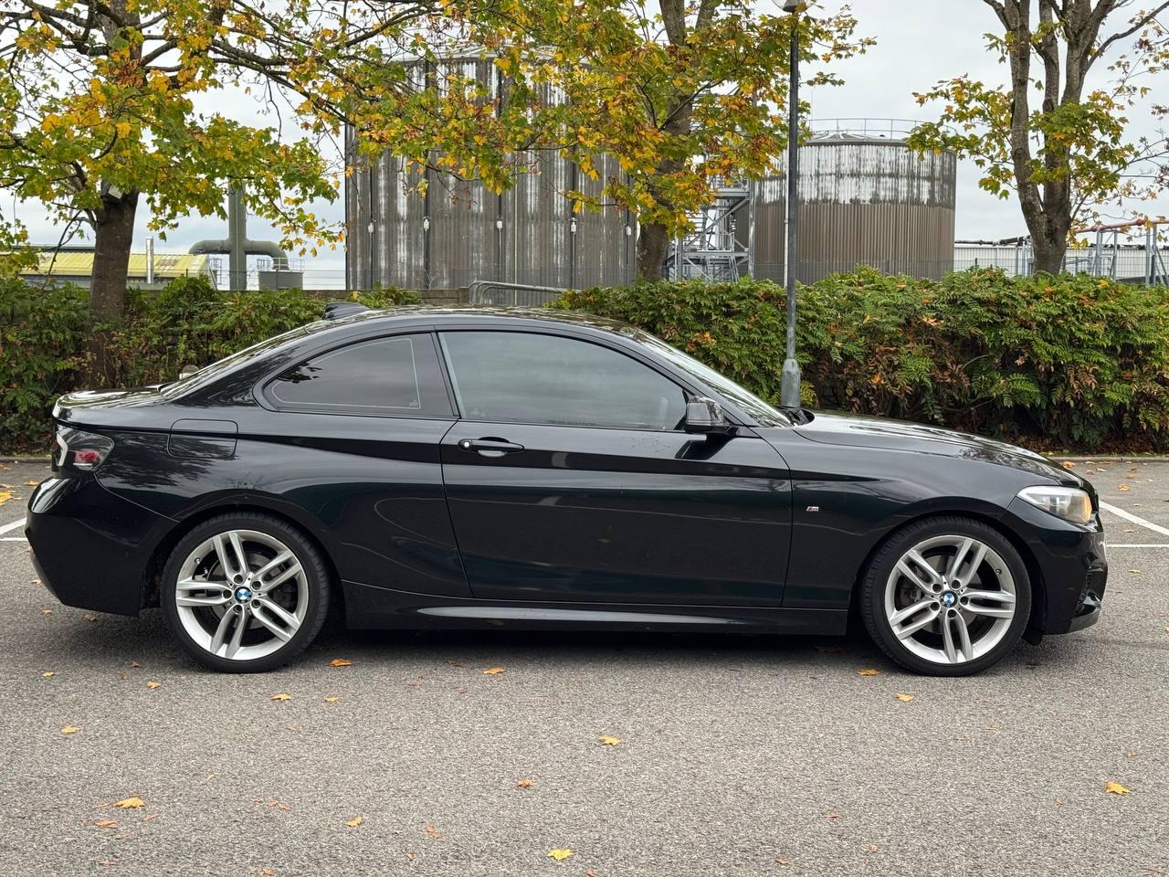 BMW 2 Series 2.0 220d M Sport Coupe 2dr Diesel Manual Euro 6 (s/s) (184 ps)